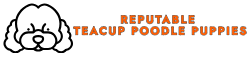 reputablepoodlepuppies.com